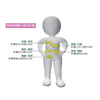 Mini Pot Plant 6 Green Plant Test Again