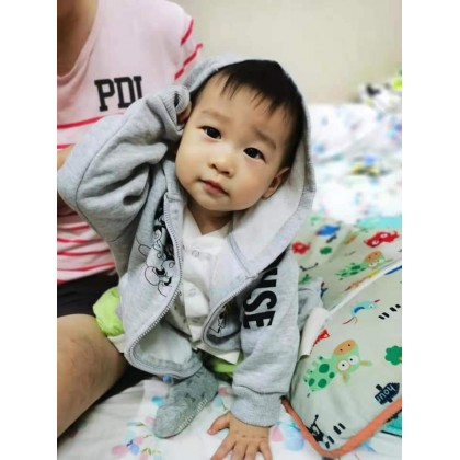 Mini Pot Plant 6 Green Plant Test Again