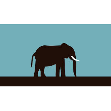 Mini Pot Plant 6 Green Plant Test Again